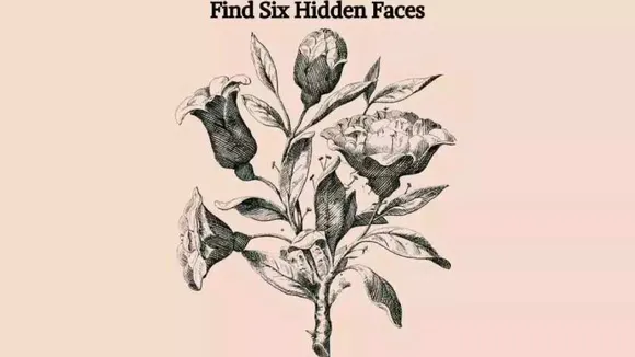 face 1 