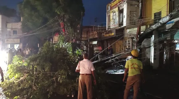Madurai Heavy Rain uproots trees electric poles in city Tamil News 