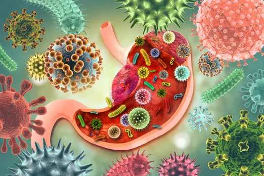 gut health