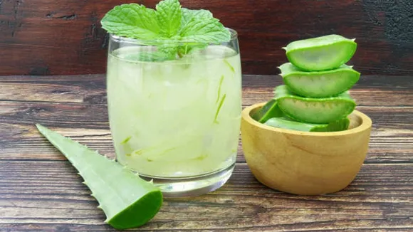 aloe vera
