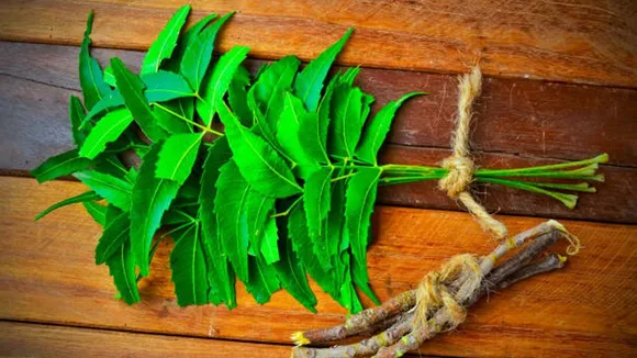 neem