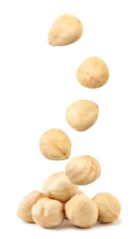 hazelnuts