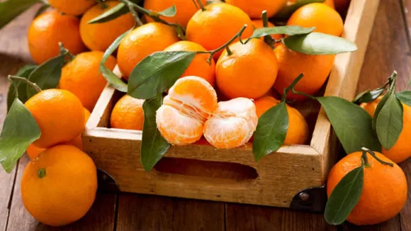 mandarin oranges