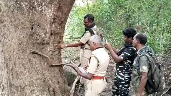 Coimbatore 