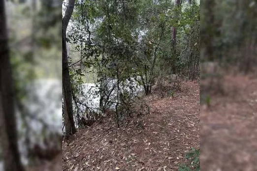 A Snake 1