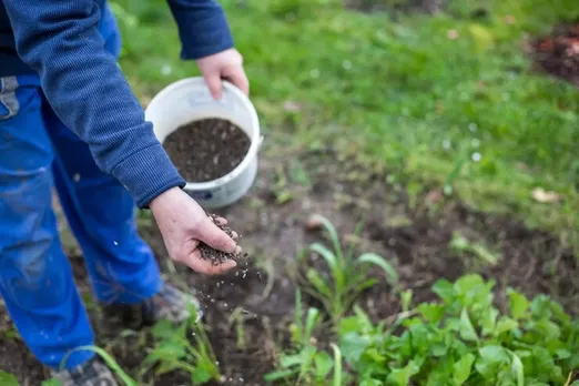 Gardening 