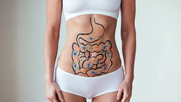 digestion