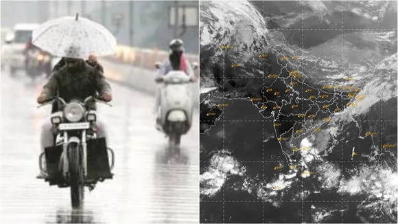 rain report
