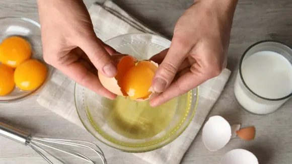 egg