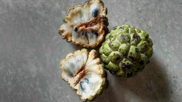 custard apple