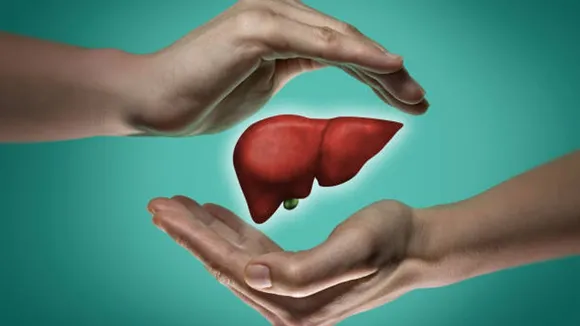 liver