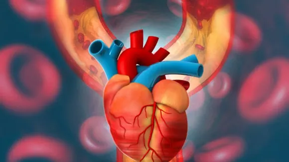 blood circulation