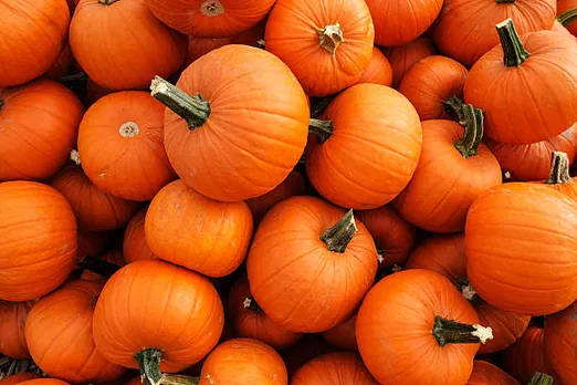 pumpkin
