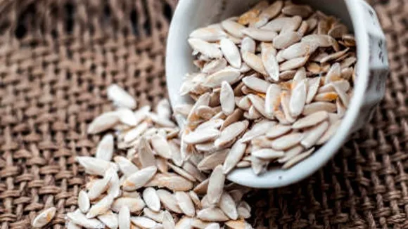 muskmelon seeds