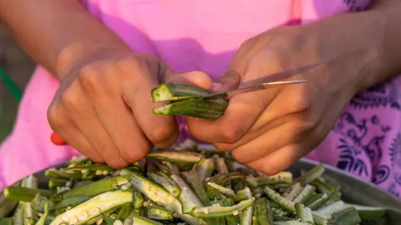 okra