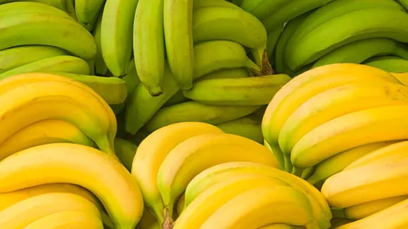 banana