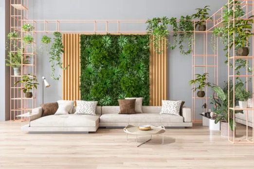 house plants