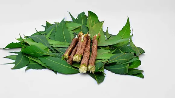 வேம்பின் ஆரோக்கிய நன்மைகள்