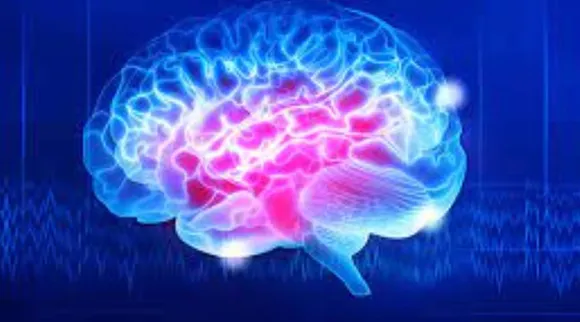Brain ff.jpg