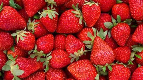 berries