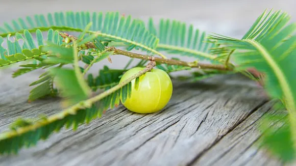 amla juice