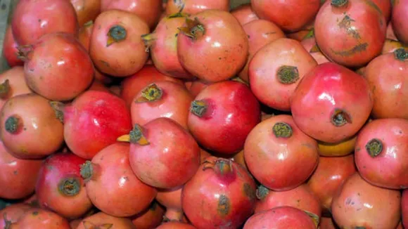 pomegranate
