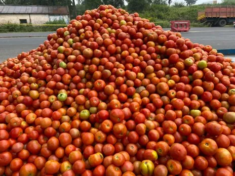 tomato