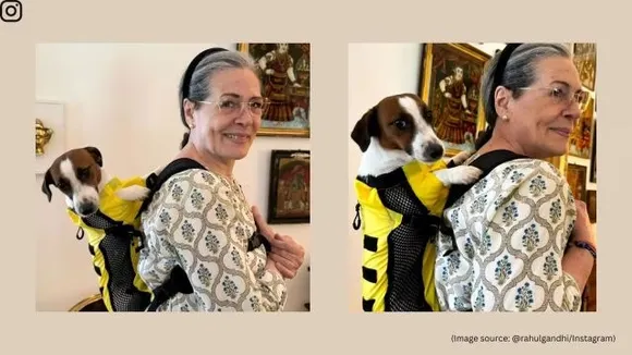 sonia gandhi pet dog noorie