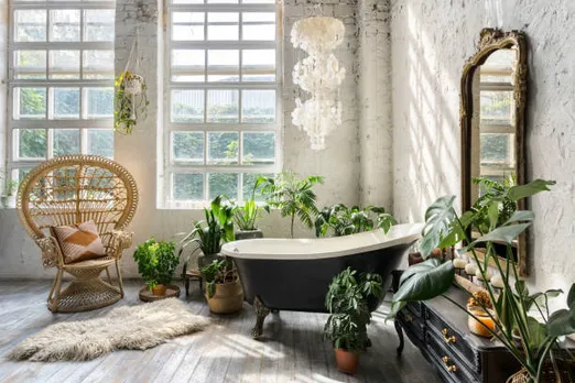 plants in bathroom