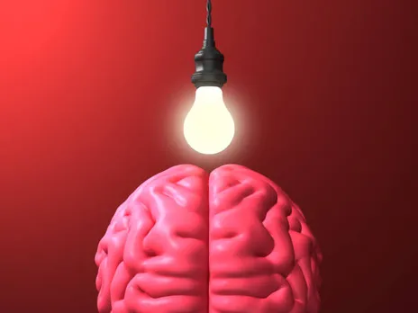 brain