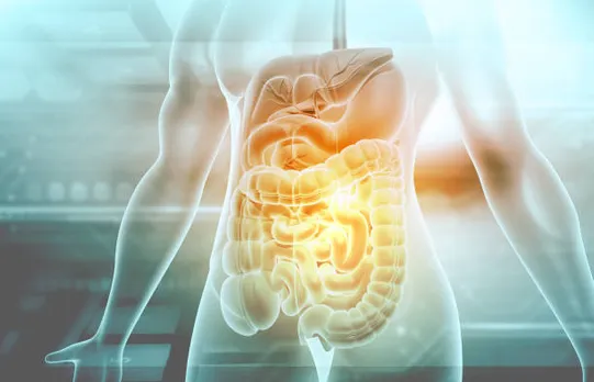 gut health