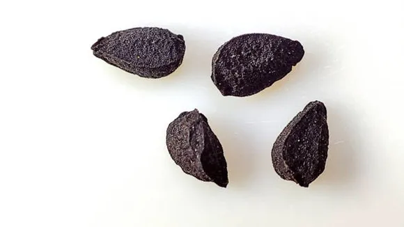 kalonji seeds