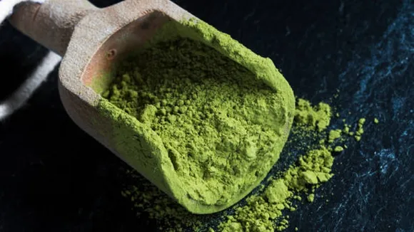 moringa
