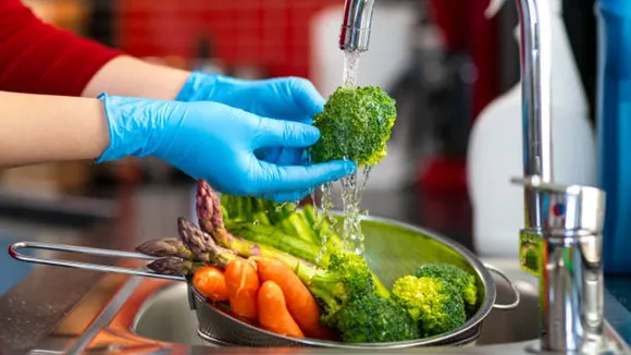 plant based diet