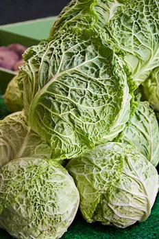 lettuce