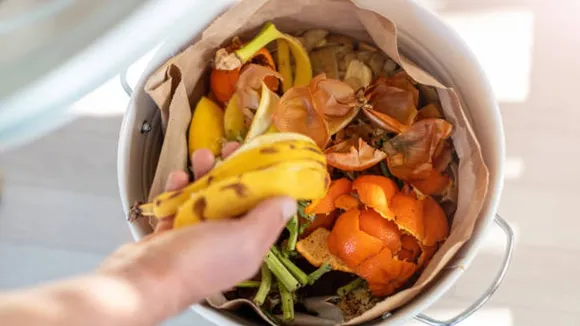 fruit peels