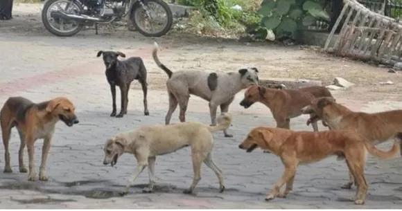 sada