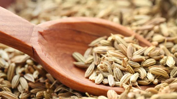 fennel