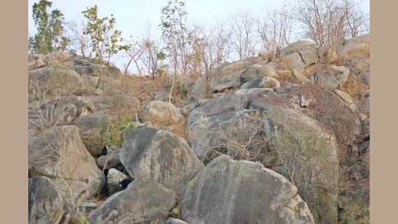 Leopard 1