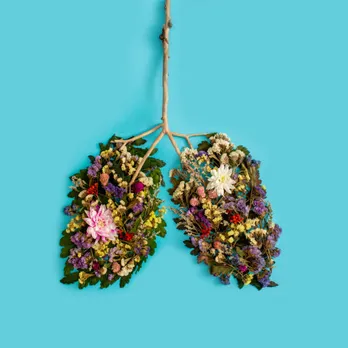 lungs