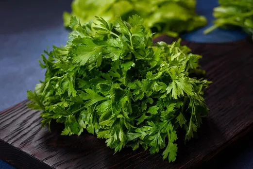 coriander leaves storage 