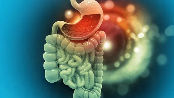 gut health