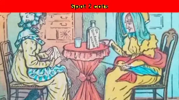 cat 1 (1)