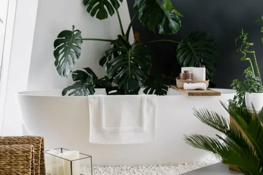 plants in bathroom