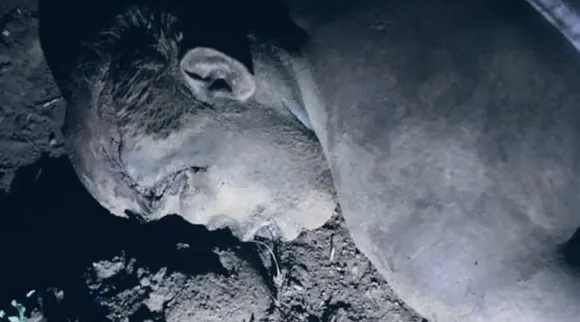 Elephant death