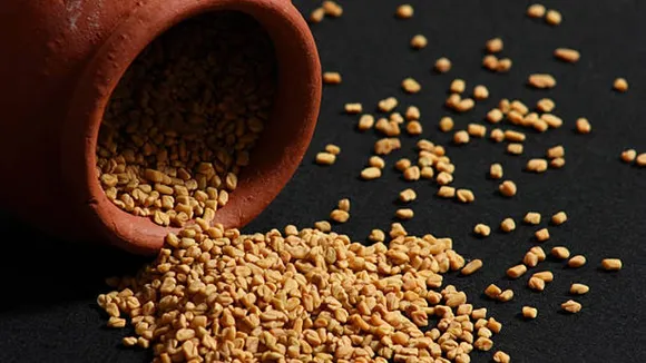 fenugreek 