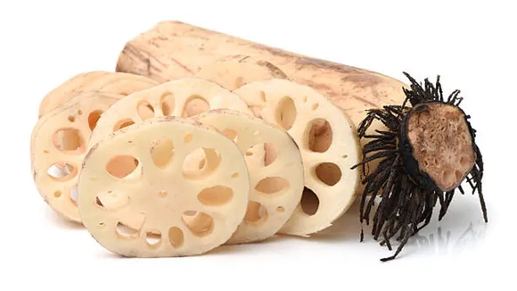 lotus stems