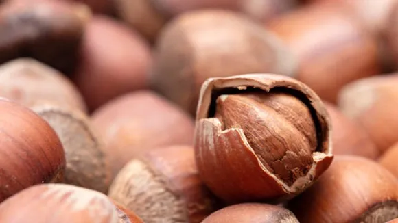 hazelnuts