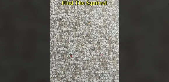 squi