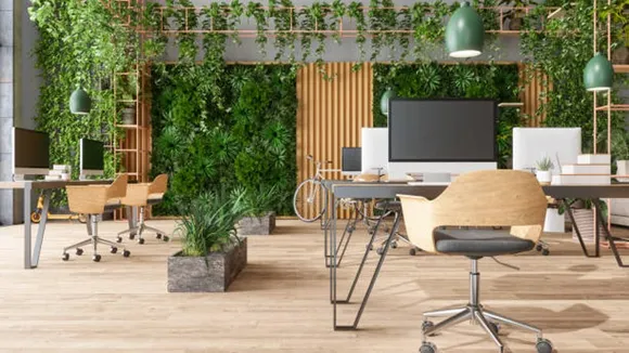 plants